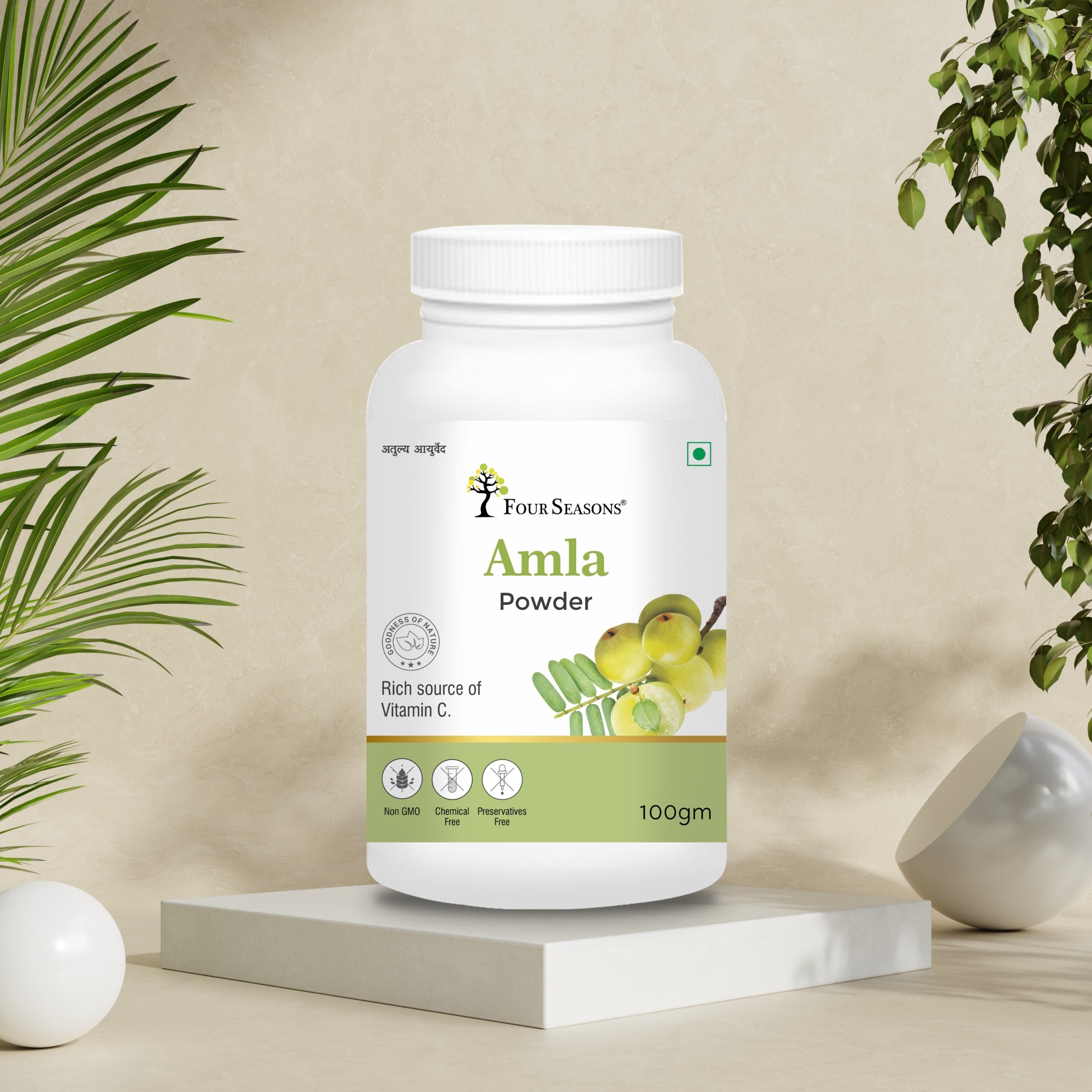 Amla Powder