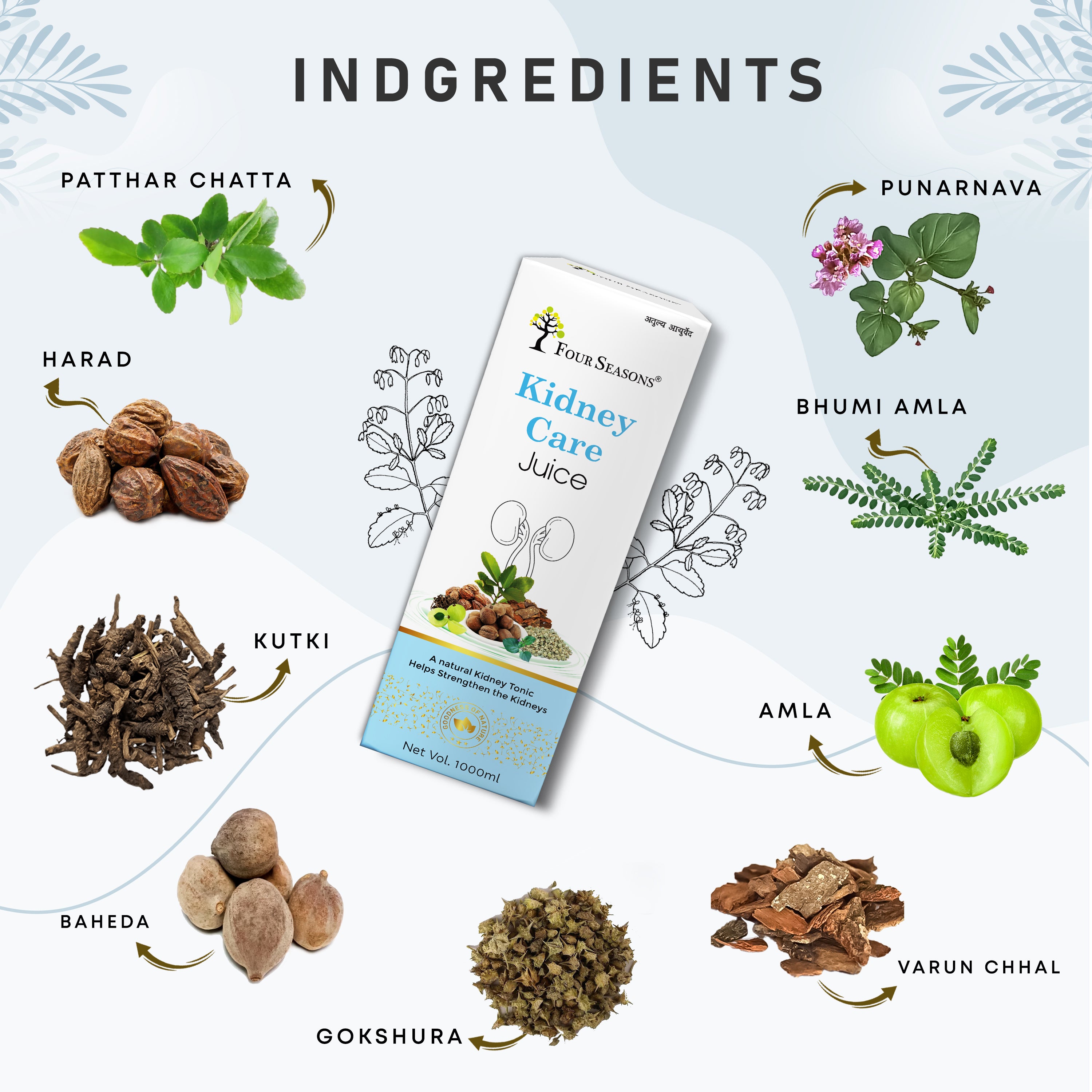 Kidney Care Juice - Four Seasons Ayurveda