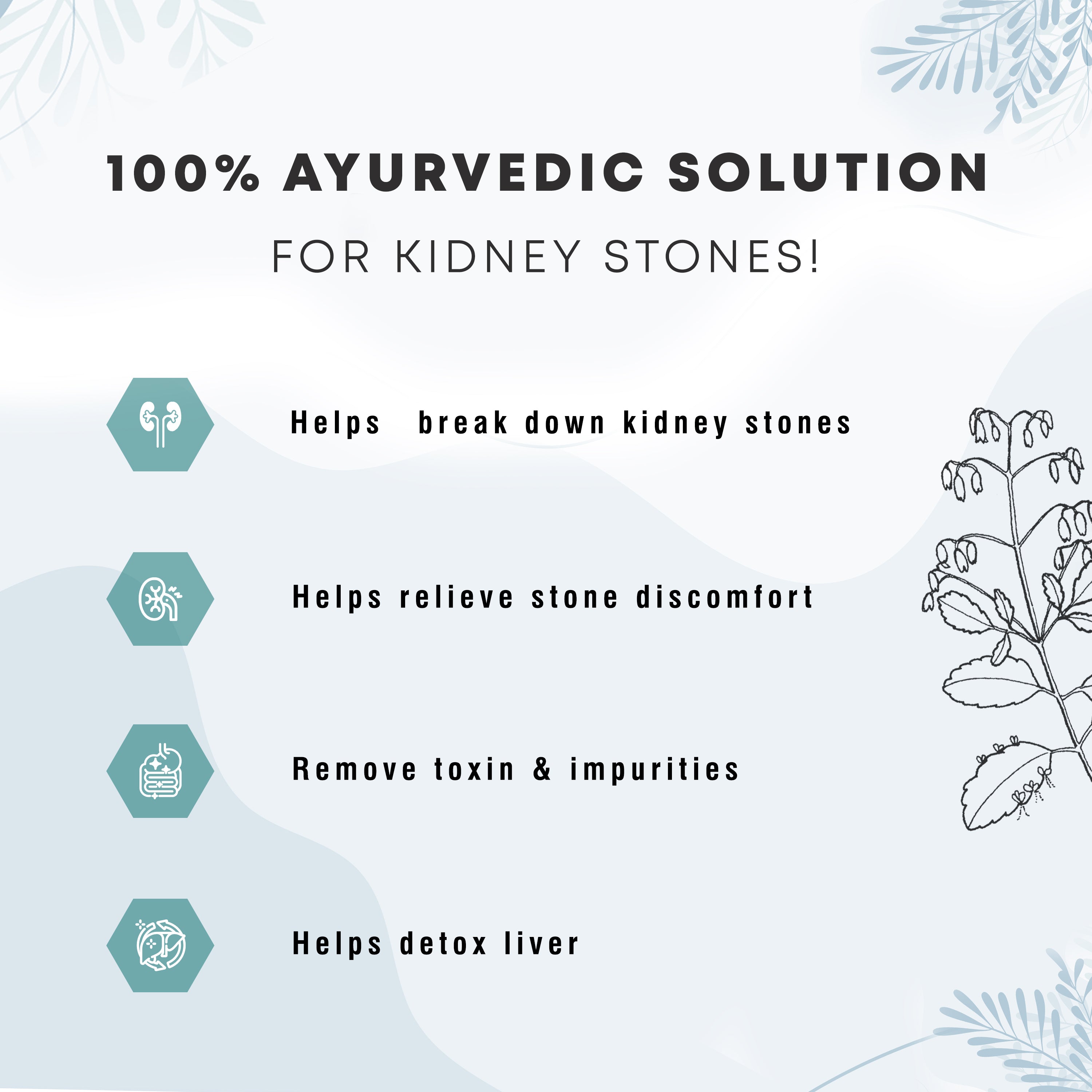 Kidney Care Juice - Four Seasons Ayurveda