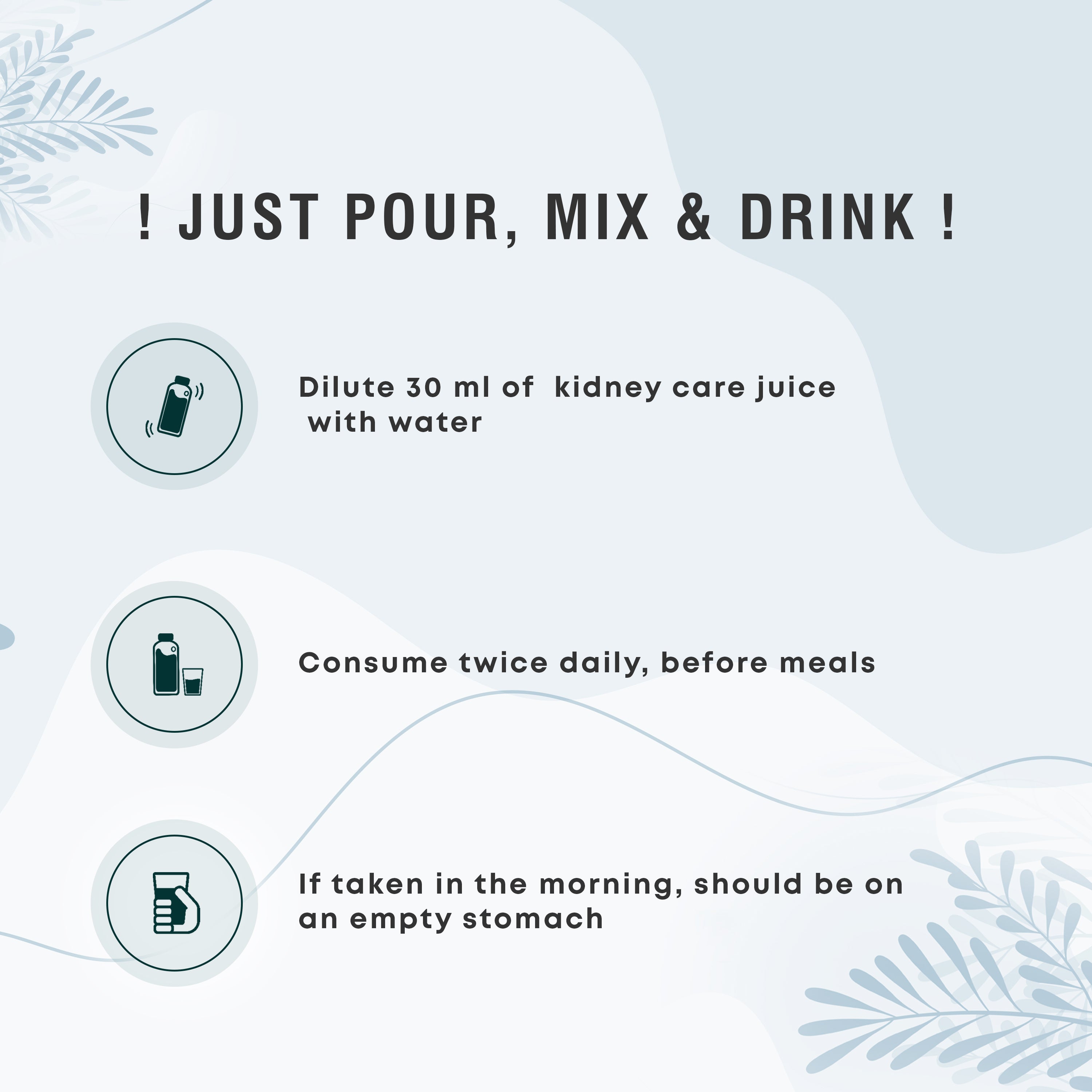 Kidney Care Juice - Four Seasons Ayurveda