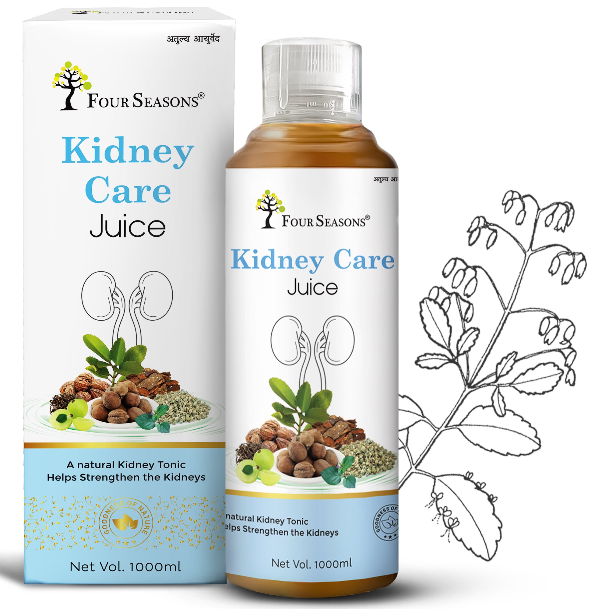 Kidney Care Juice - Four Seasons Ayurveda