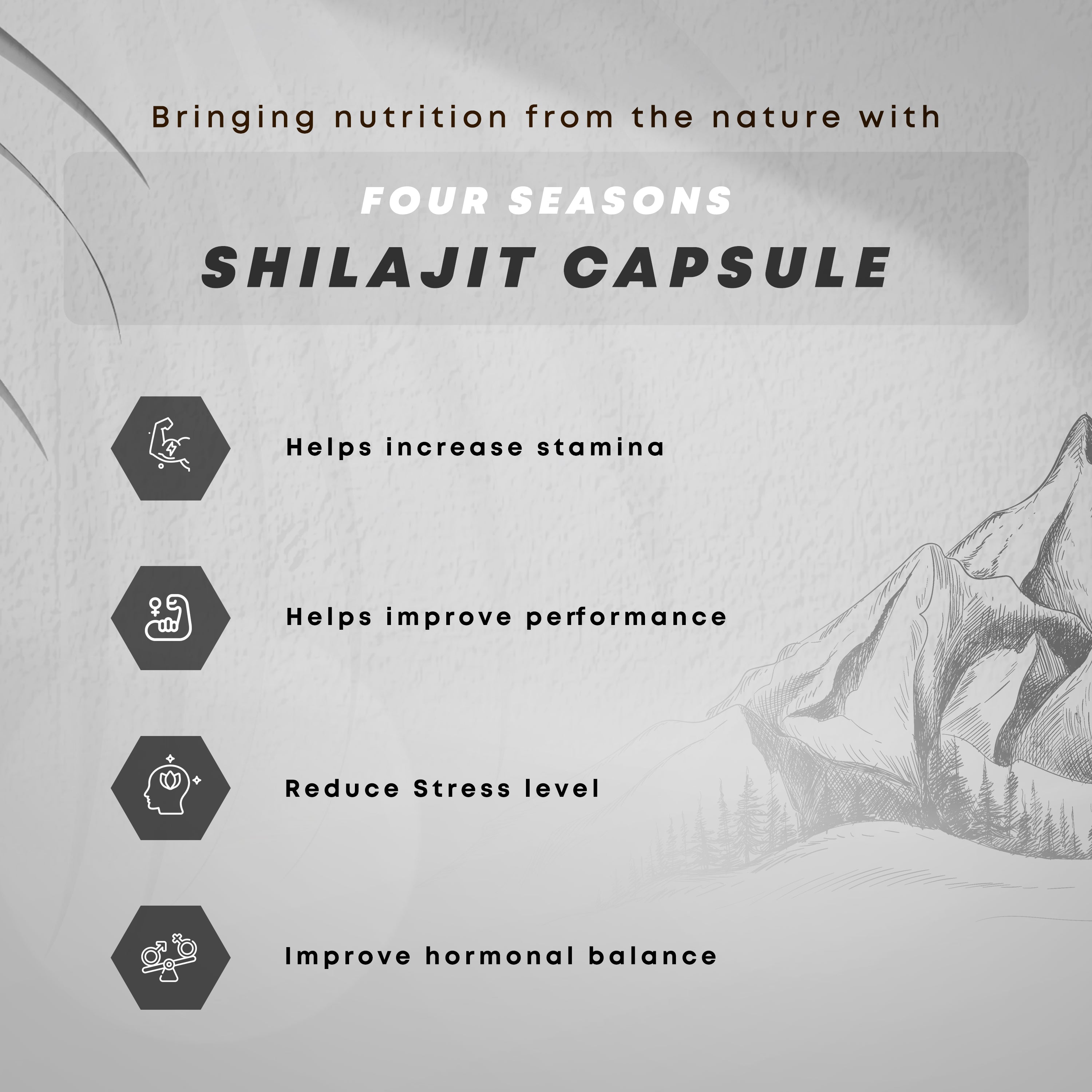 Shilajit Capsules