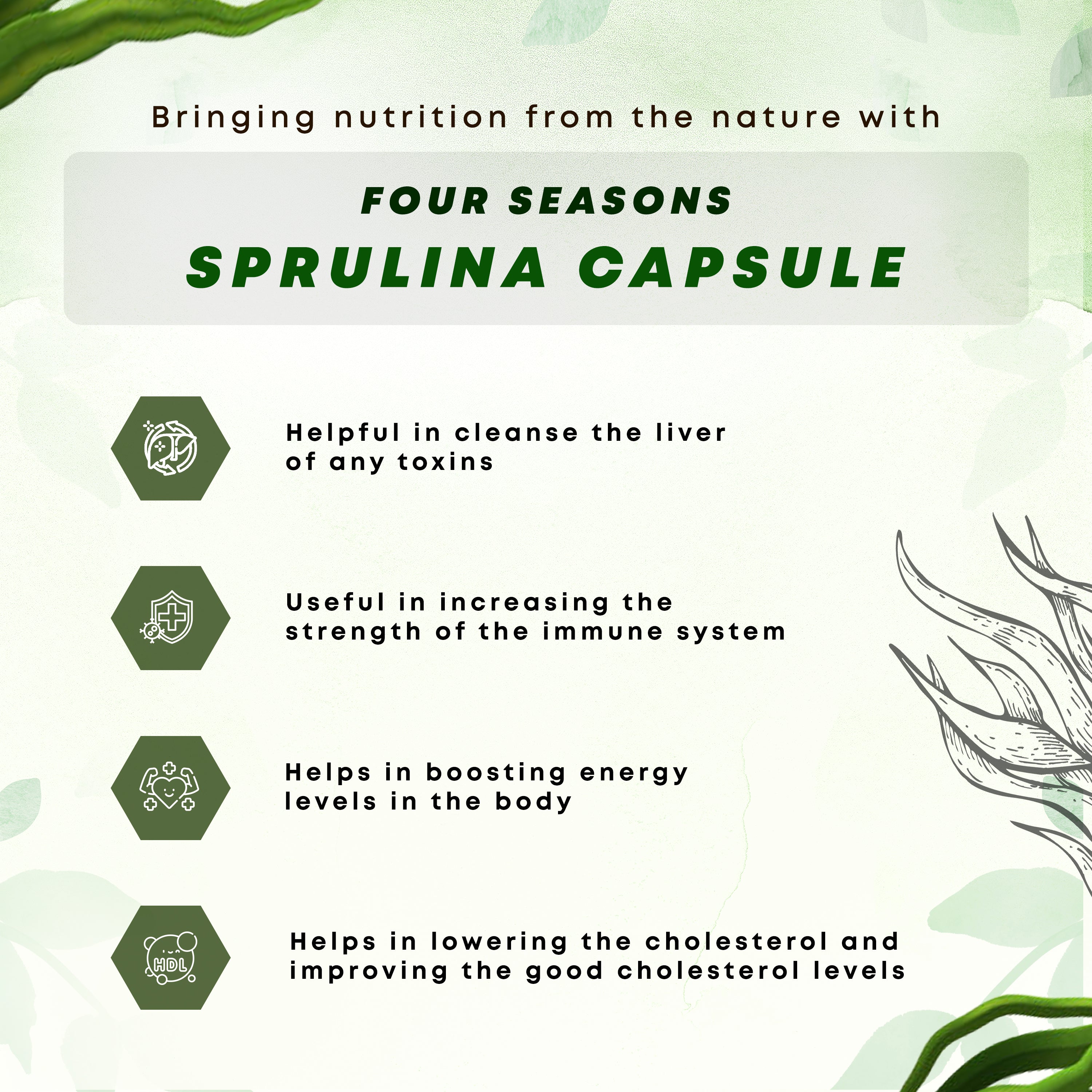 Spirulina Capsules