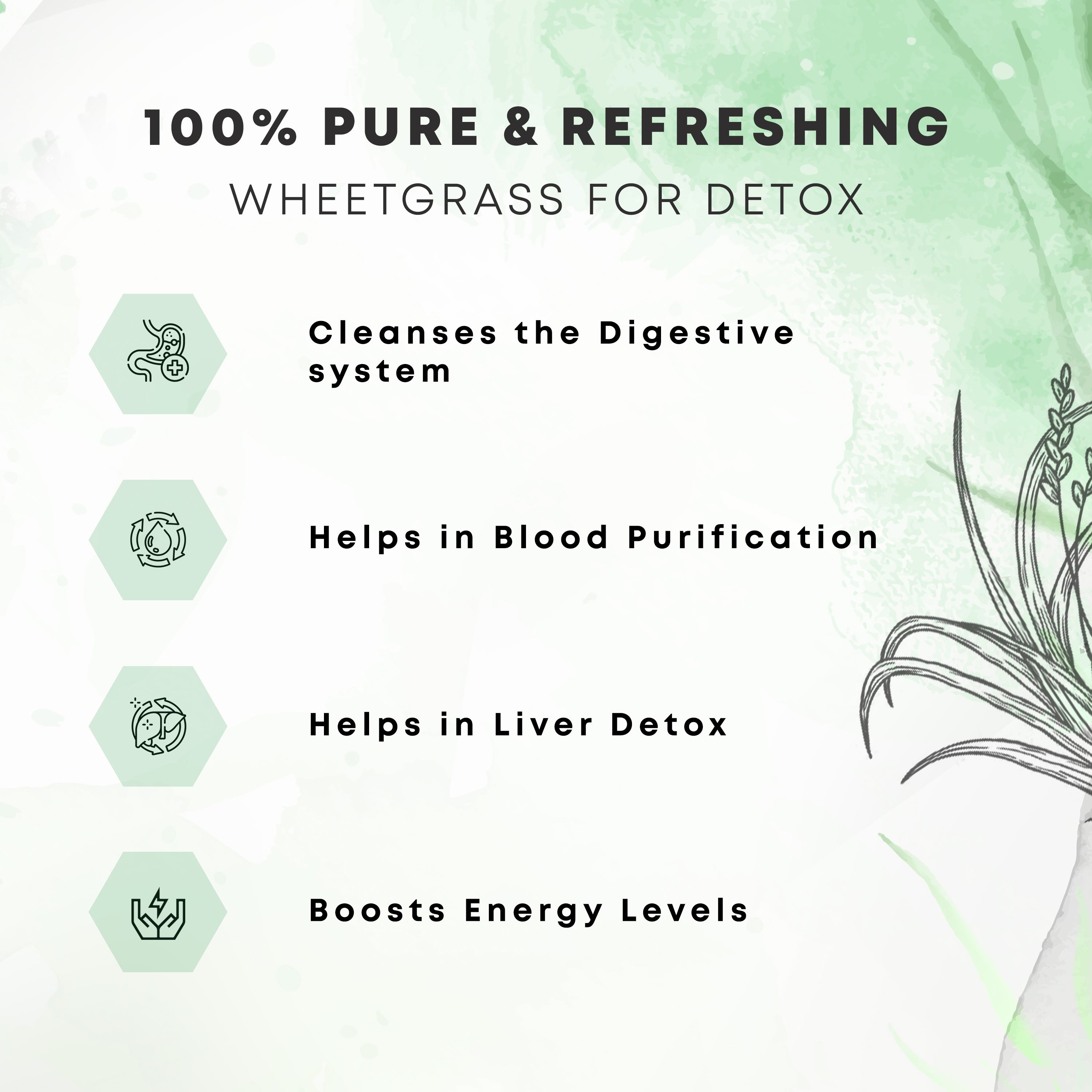 Wheatgrass Juice