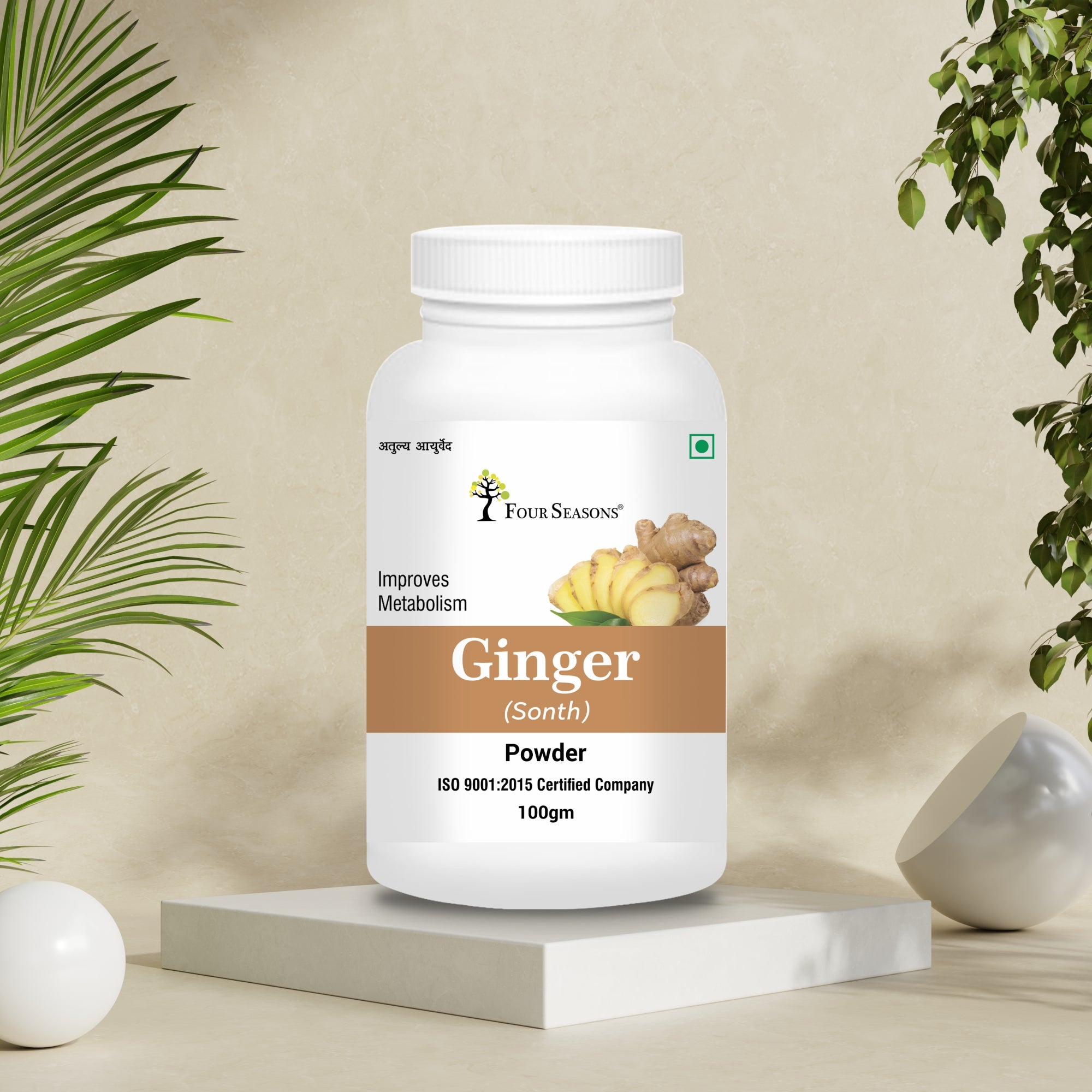 Ginger (Sonth) Powder