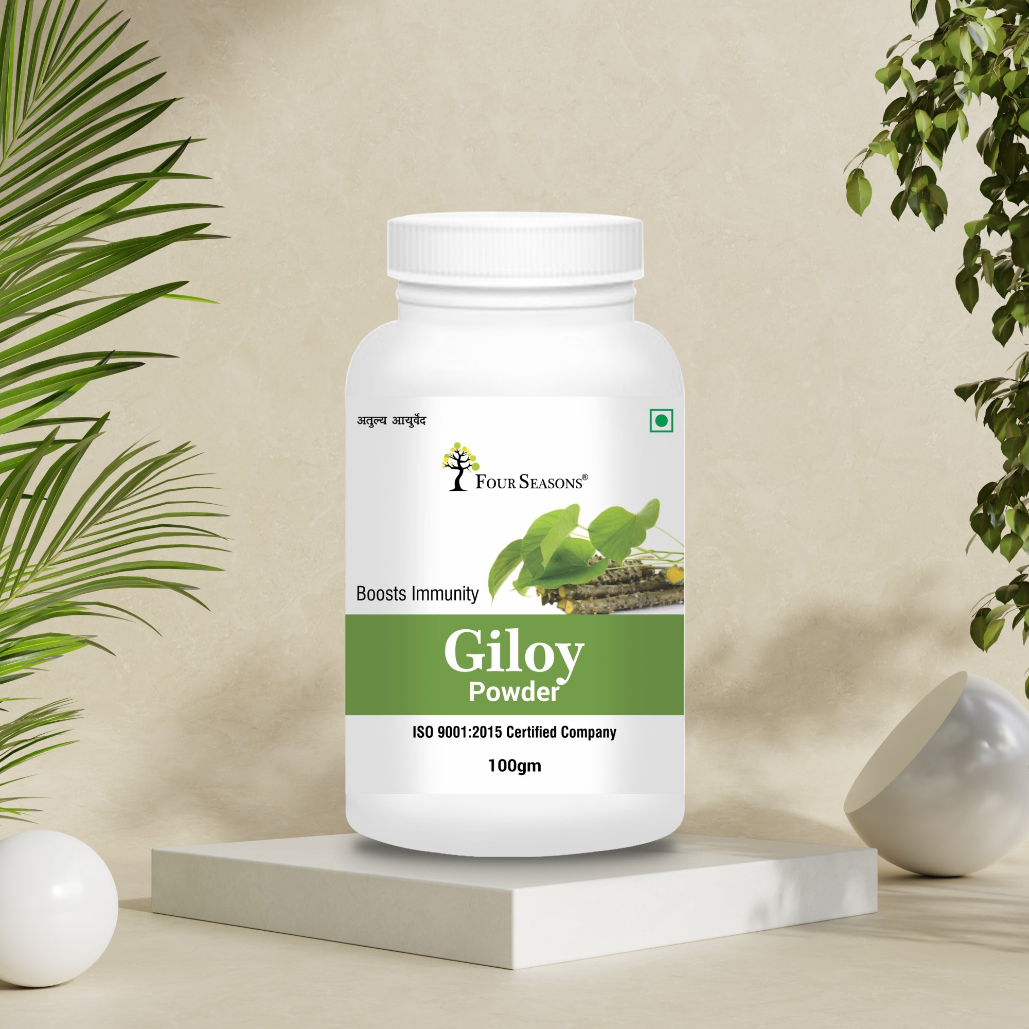 Giloy Powder